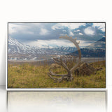 Modern art wall decor featuring a minimalist Denali, Alaska landscape in muted earth tones on a framed acrylic print.