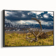 Black and white framed canvas of Denali, Alaska landscape, ideal for bedroom wall decor.