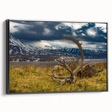 Black and white framed canvas of Denali, Alaska landscape, ideal for bedroom wall decor.