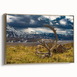 Framed canvas depicting a vintage-style landscape of Denali, Alaska, in black and gold tones, ideal for bedroom wall art.