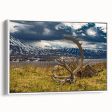 Vintage poster art of Denali, Alaska, featuring colorful scenery on a large framed canvas, ideal for living room decor.