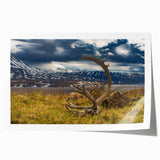 Extra large rolled print of Denali, Alaska scenery with muted earth tones, suitable for dining room wall art.