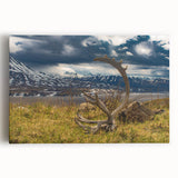 Black and white photo of Denali, Alaska on stretched canvas, ideal for kitchen wall art.