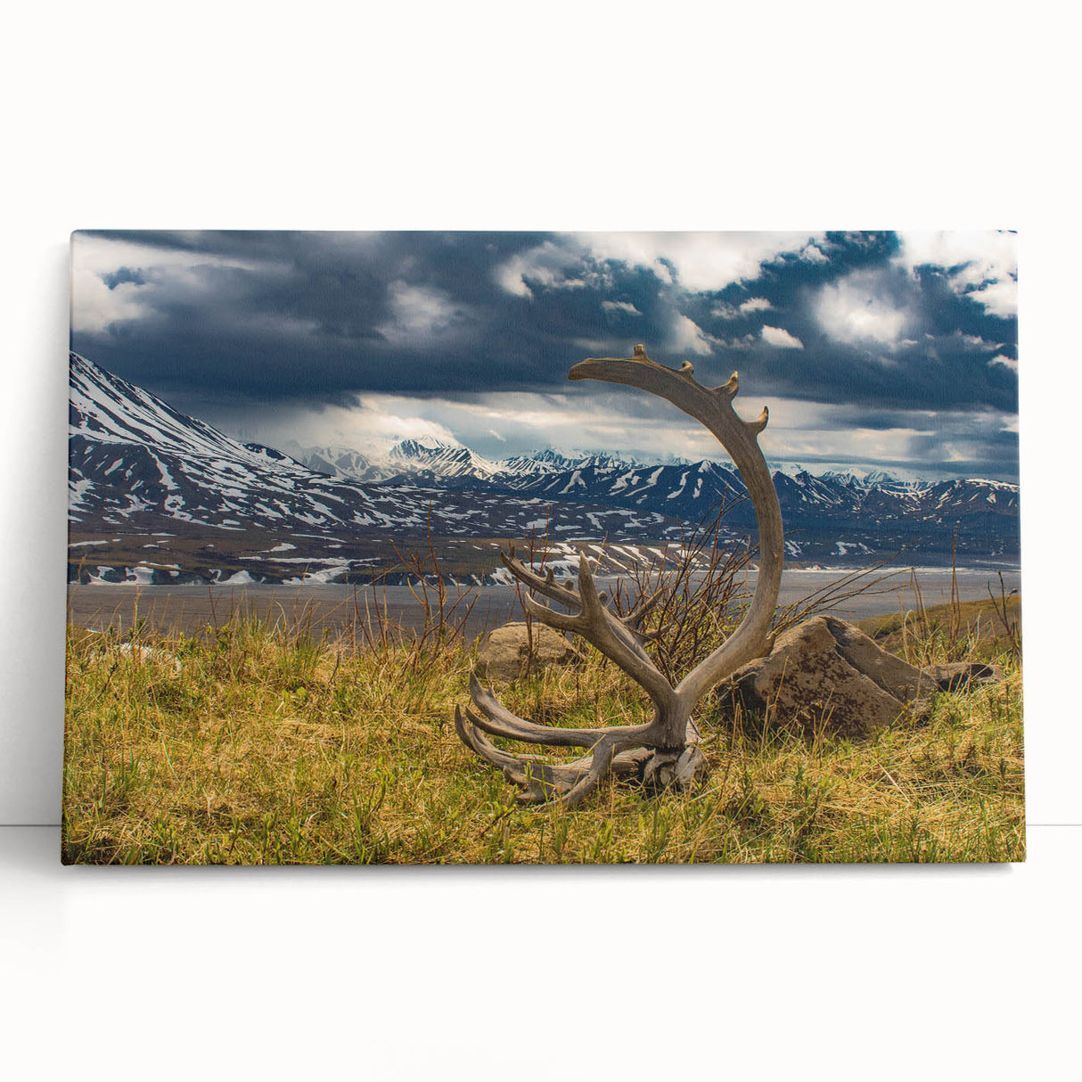 Black and white photograph of Denali, Alaska on stretched canvas, ideal for kitchen or bedroom wall art.