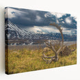 Large canvas print of Denali National Park in Alaska, featuring muted earth tones, ideal for kitchen wall art.