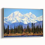 Framed canvas landscape art of Alaska scenery in muted gray and silver tones, ideal for office decor.