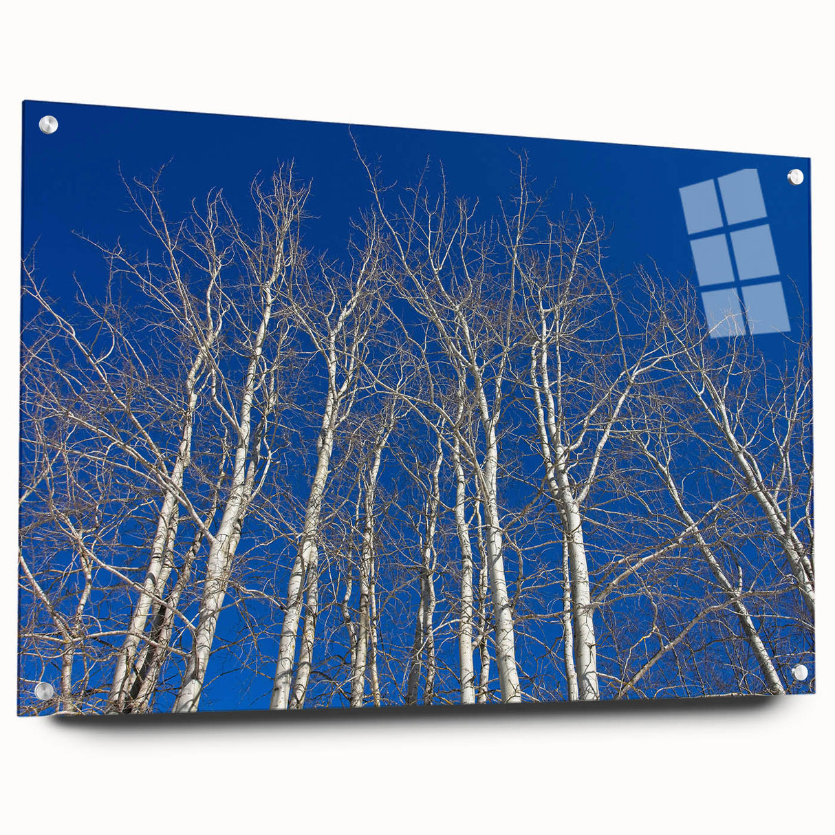 Acrylic print of Aspen, Colorado scenery with lush green trees and mountains, suitable for dining room decor.