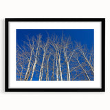 Extra large abstract art print of Aspen scenery in vibrant colors on a textured canvas, framed in black.