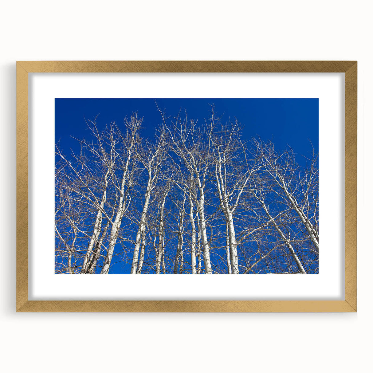 Extra large abstract art print of Aspen scenery in textured gold frame, featuring earth tones, ideal for living room decor.