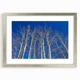 Textured art print depicting abstract aspen trees in muted earth tones, framed in silver, suitable for bedroom decor.