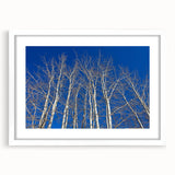 Abstract art print of Aspen scenery in muted earth tones on a framed white mat, suitable for dining room or bedroom.