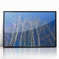 Large abstract wall art depicting a vibrant Colorado Aspen scenery in mid-century modernist style, framed in black acrylic.