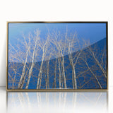 Large art print of Aspen, Colorado scenery in mid-century modernist style, featuring vibrant autumn colors on framed acrylic.