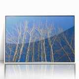 Framed acrylic print of Aspen, Colorado scenery in art deco style, with muted earth tones, ideal for modern art wall decor.