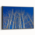 Black and white framed canvas of Aspen, Colorado landscape, ideal for bedroom wall art.