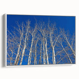 Vintage poster art of Aspen, Colorado with colorful autumn trees on large, framed canvas, suitable for living room decor.