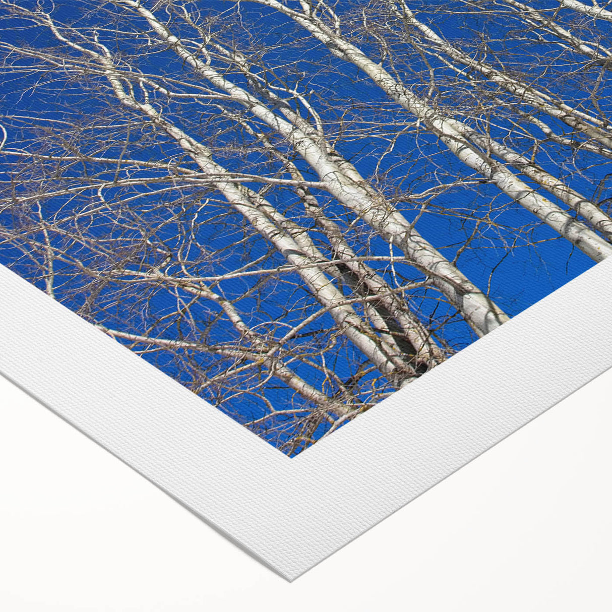 Art deco poster featuring a snowy Aspen landscape in muted blue and white tones, on rolled canvas.