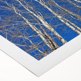 Art deco poster featuring a snowy Aspen landscape in muted blue and white tones, on rolled canvas.