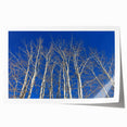 Extra large rolled print of Aspen, Colorado scenery, showing vibrant autumn colors, ideal for art wall dining room.