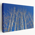 Large canvas art of Aspen, Colorado scenery in earthy green and brown tones, suitable for kitchen wall decor.