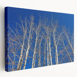 Large canvas art of Aspen, Colorado scenery in earthy green and brown tones, suitable for kitchen wall decor.