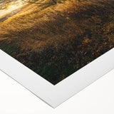 Art deco poster featuring a serene Connecticut landscape in muted green and blue tones on rolled canvas.