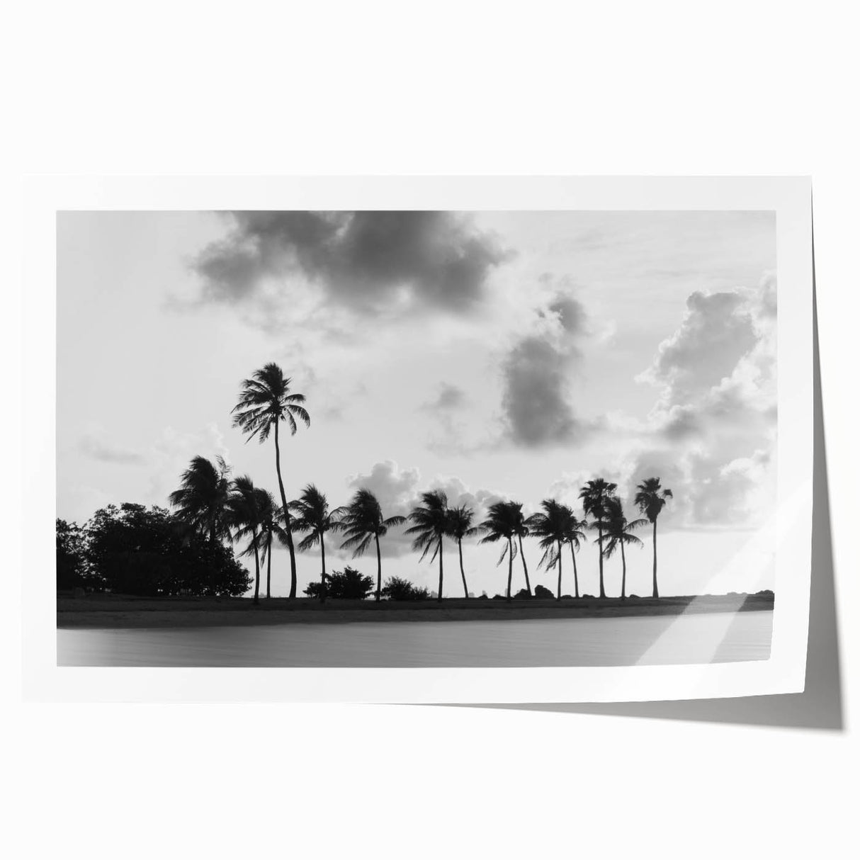 Extra large rolled print featuring a scenic Miami landscape, ideal for art wall dining room.