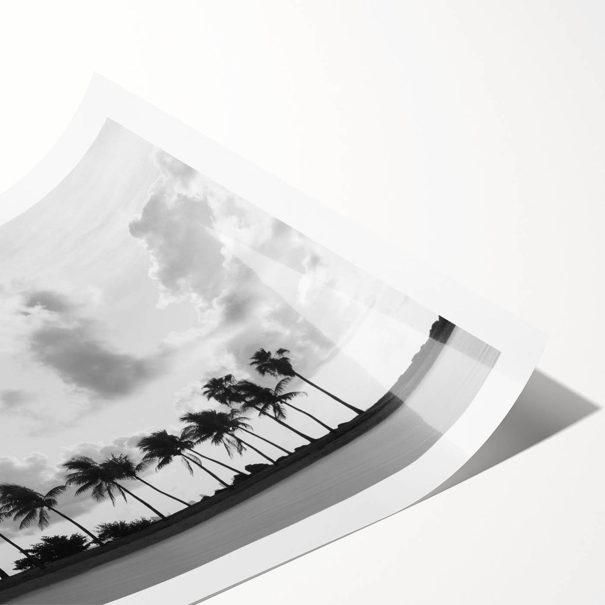 Extra large wall art featuring line art flowers in soft gray tones on a rolled print, ideal for large living room decor.