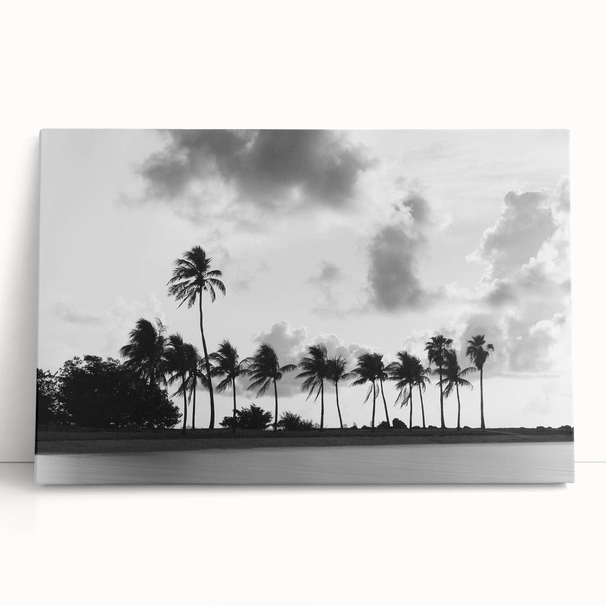 Black and white large art print of Miami skyline on stretched canvas, ideal for kitchen wall art or bedroom ambiance.