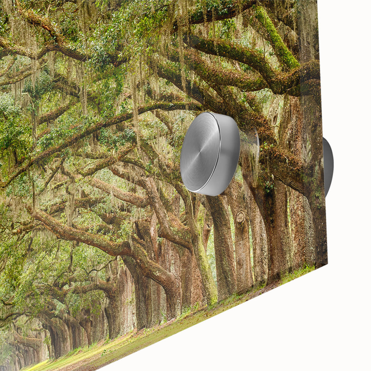 Large abstract wall art of Savannah scenery in mid-century modernist style on acrylic glass, ideal for dining room art.