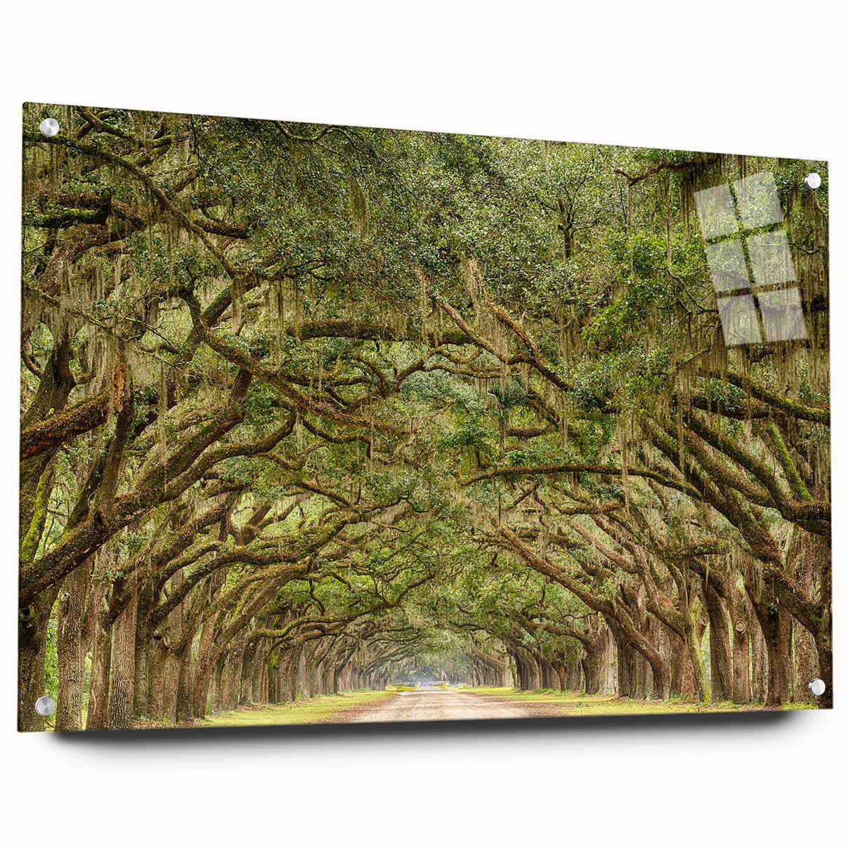 Acrylic print of Savannah, Georgia, with vibrant twilight hues, ideal for dining room decor.