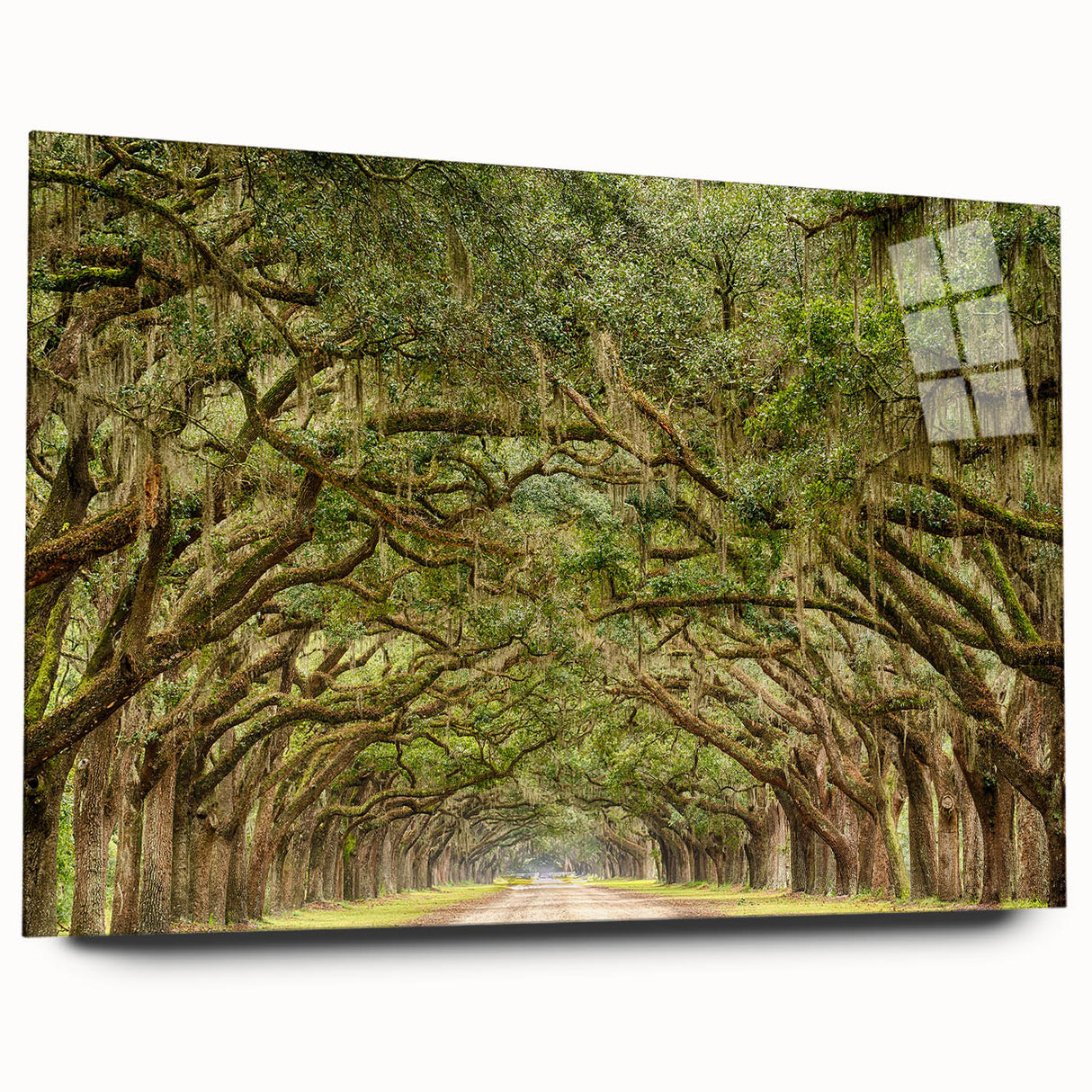 Acrylic print of a large abstract Savannah, Georgia, scenery in muted earth tones, suitable for bedroom or dining room art.