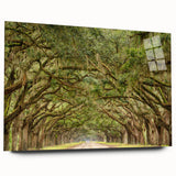 Acrylic print of a large abstract Savannah, Georgia, scenery in muted earth tones, suitable for bedroom or dining room art.