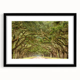 Extra large abstract art print of Savannah scenery in vibrant colors on a textured canvas, framed in black.