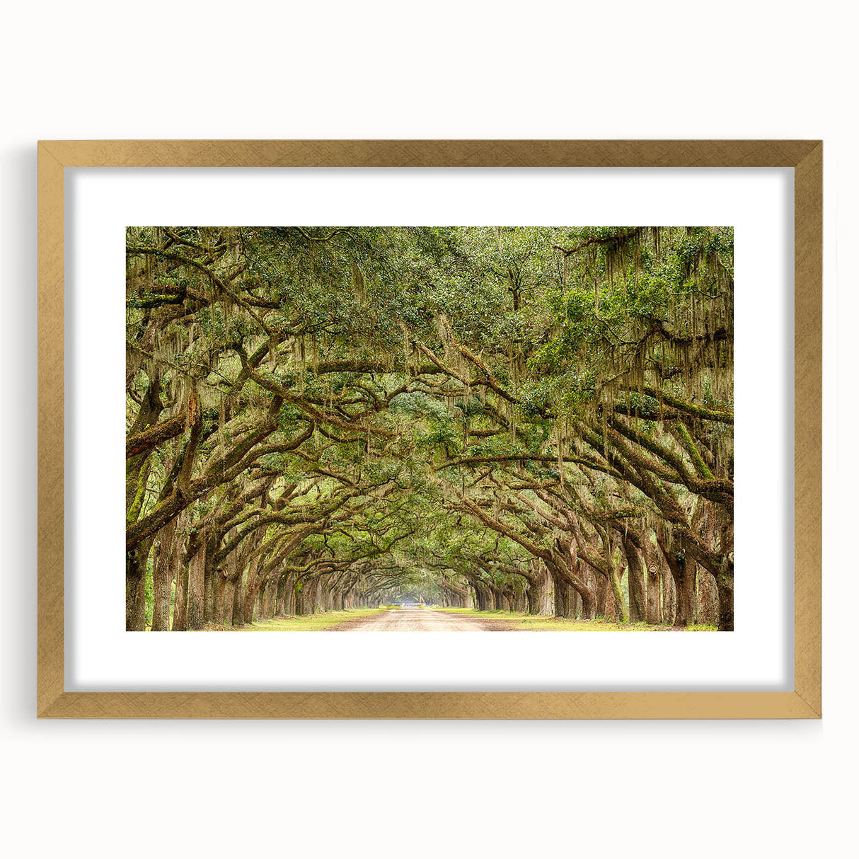 Extra large textured abstract art print of Savannah scenery in gold frame, suitable for living room decor.