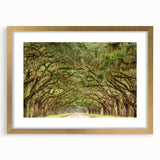 Extra large textured abstract art print of Savannah scenery in gold frame, suitable for living room decor.