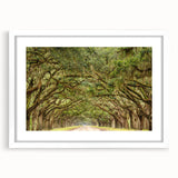 Abstract art print of Savannah scenery in muted earth tones on a framed white mat, suitable for dining room decor.