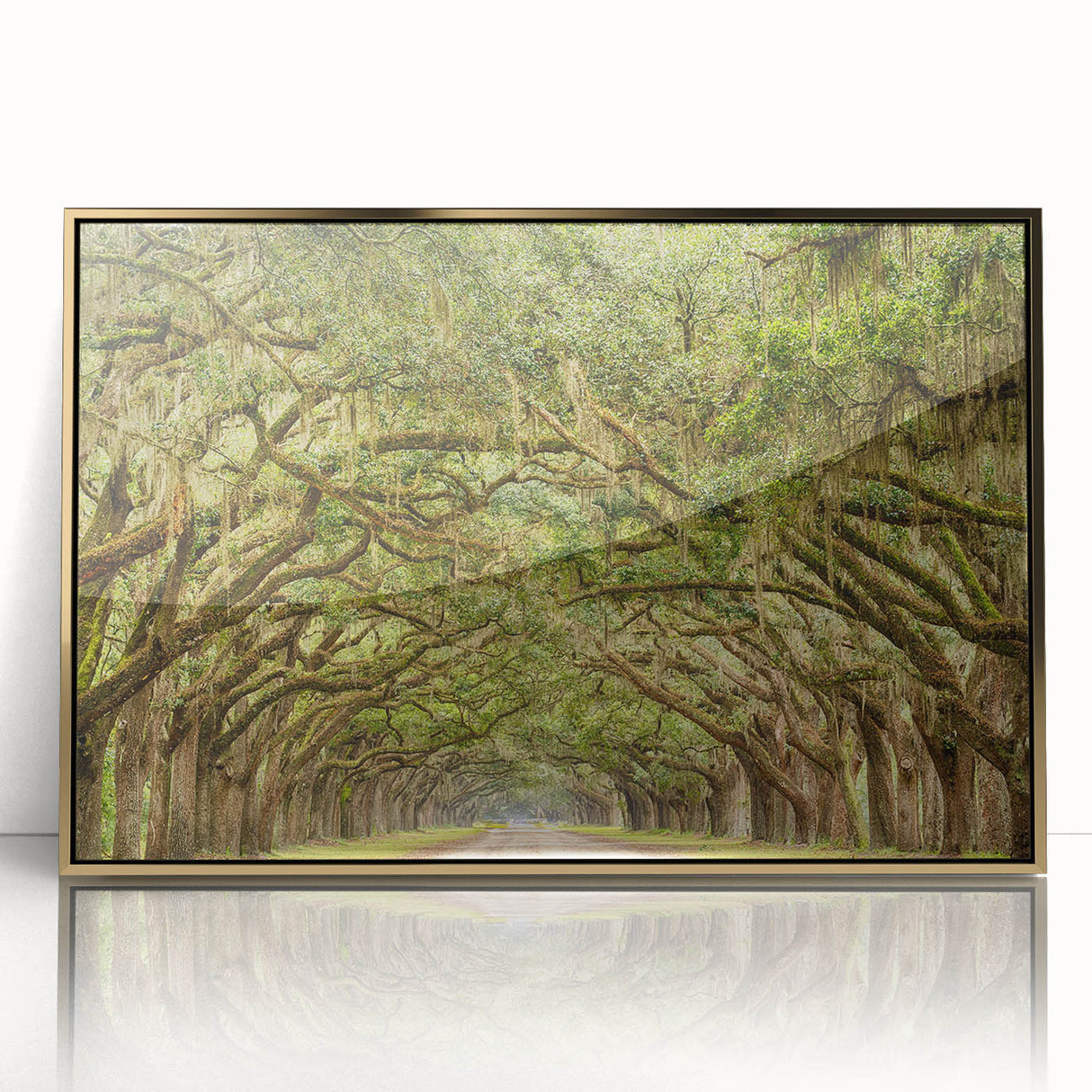 Framed acrylic print of Savannah, USA scenery in gold tones, suitable for modern art wall decor.