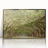 Framed acrylic print of Savannah, USA scenery in gold tones, suitable for modern art wall decor.