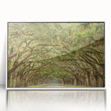 Framed acrylic print of Savannah, Georgia, in art deco style with muted blue and white tones.
