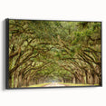 Framed canvas of a black and white Savannah landscape, ideal for bedroom wall decor.