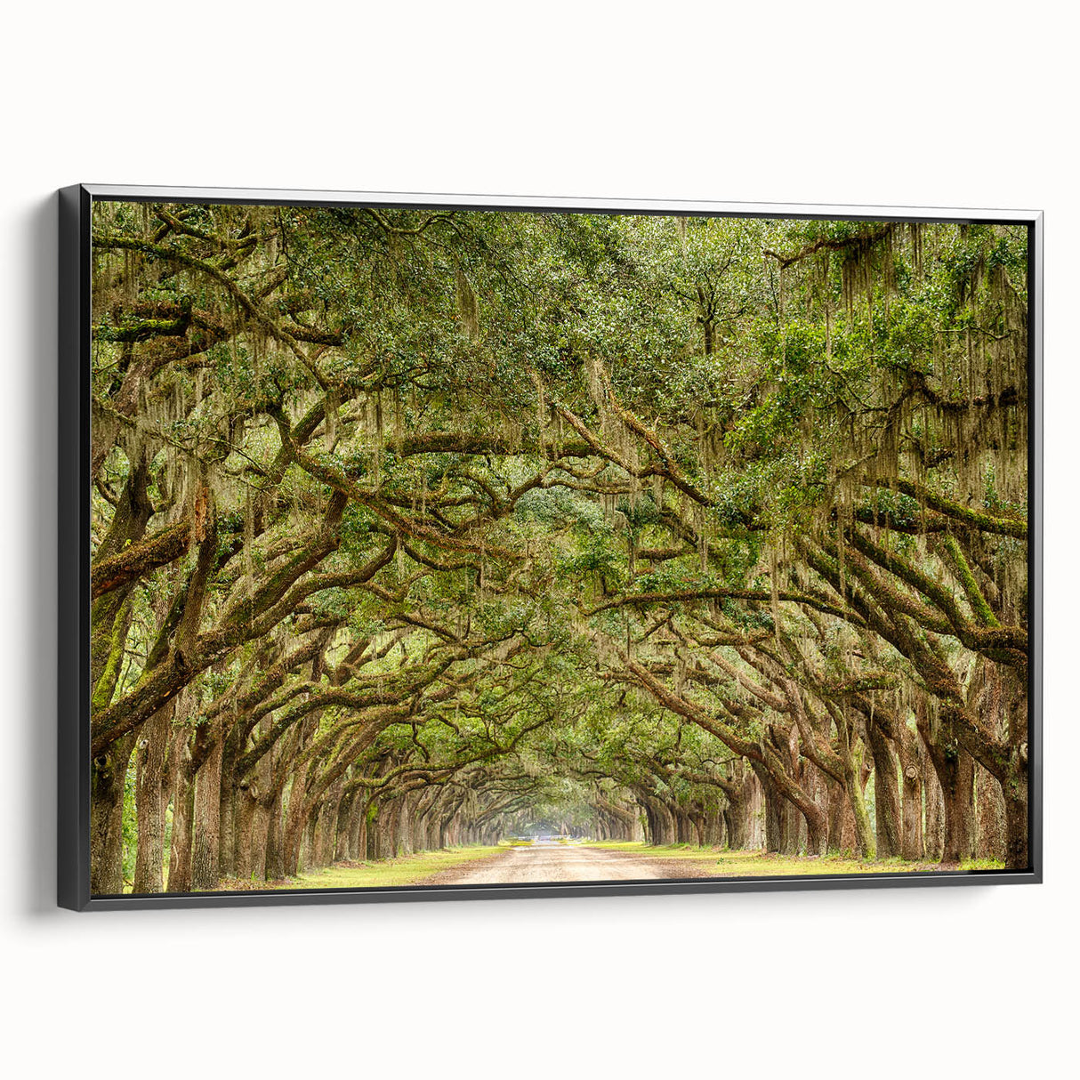 Framed canvas of a black and white Savannah landscape, ideal for bedroom wall decor.