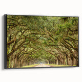 Framed canvas of a black and white Savannah landscape, ideal for bedroom wall decor.