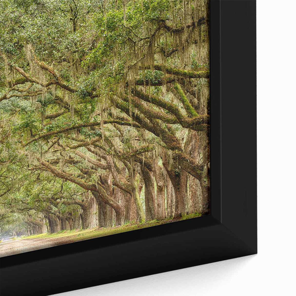 Framed canvas of Savannah, Georgia, featuring textured, colorful art in extra large format, ideal for living room decor.