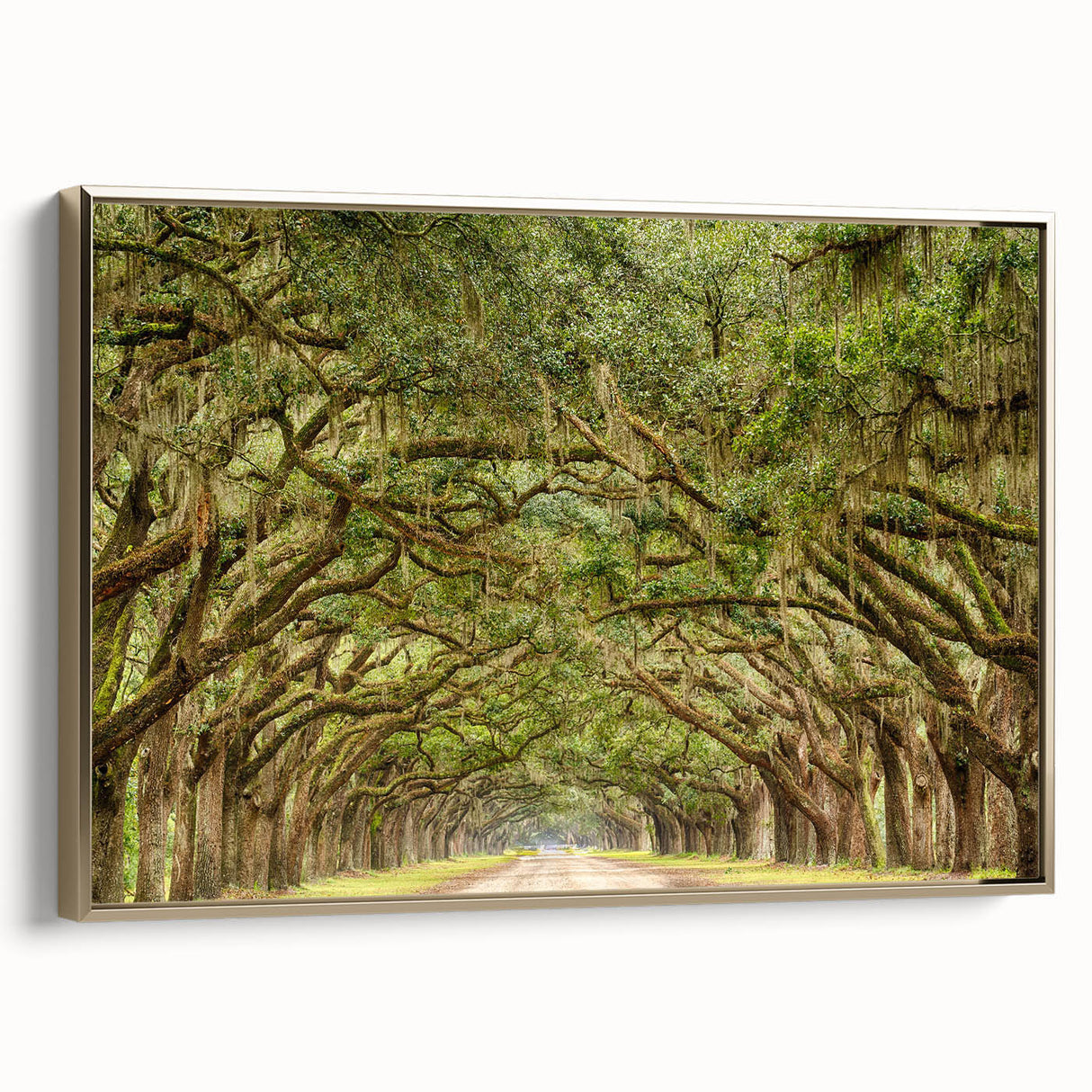 Framed canvas of a vintage Savannah landscape in muted gold and black tones, ideal for bedroom wall art.