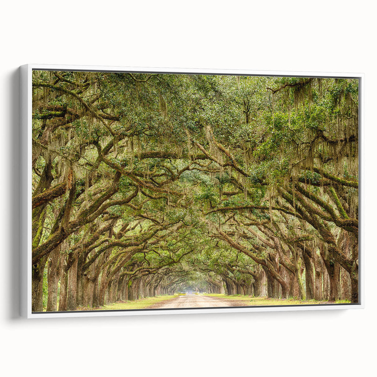Vintage poster art of Savannah, Georgia on framed canvas, featuring colorful art with black accents.