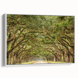Vintage poster art of Savannah, Georgia on framed canvas, featuring colorful art with black accents.
