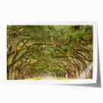 Rolled print of Savannah, Georgia, featuring a floral design in soft pastel shades, ideal for art wall dining room.