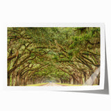 Rolled print of Savannah, Georgia, featuring a floral design in soft pastel shades, ideal for art wall dining room.