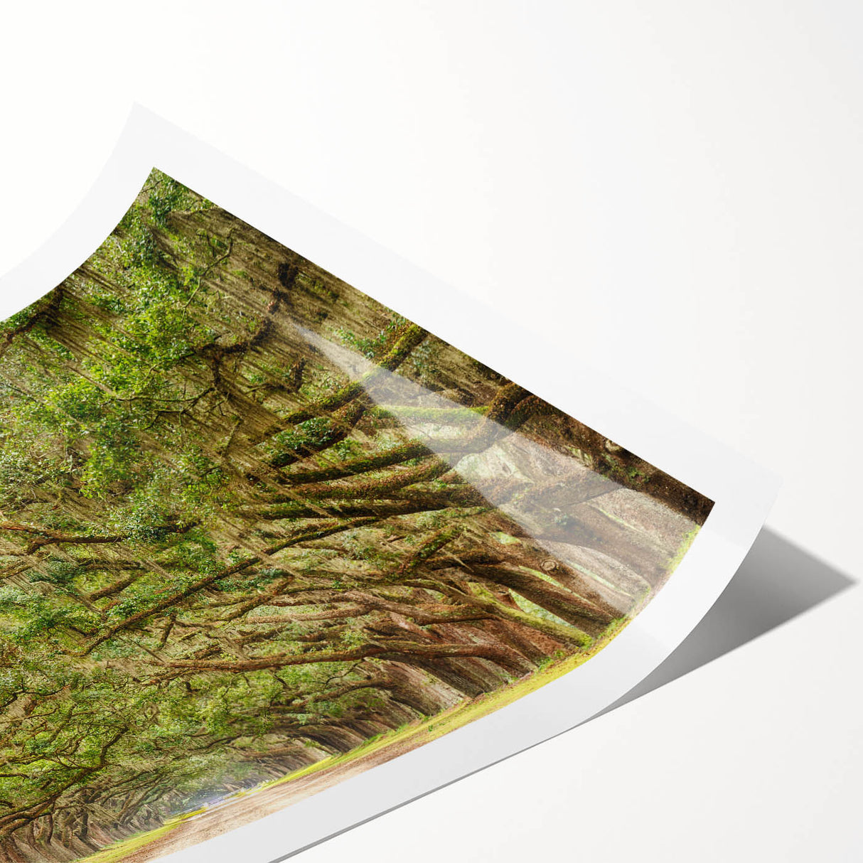 Extra large rolled print featuring line art flowers in muted earth tones, ideal for large living room wall art.